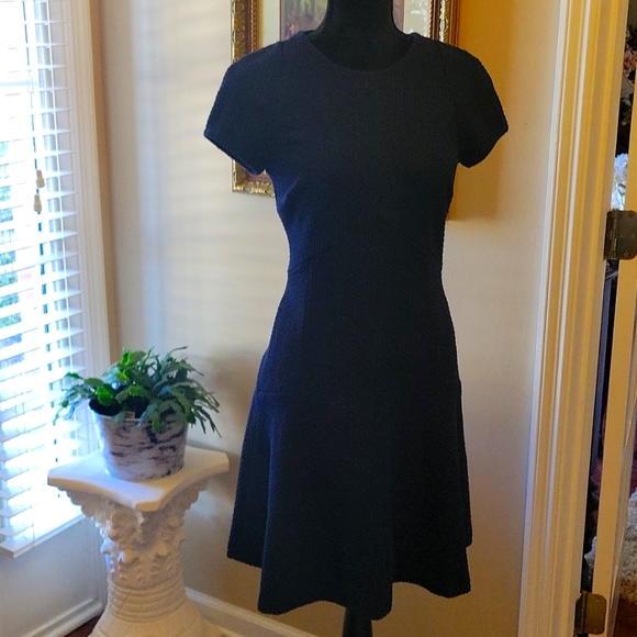 Banana Republic Navy Blue Fit Flare Cap 